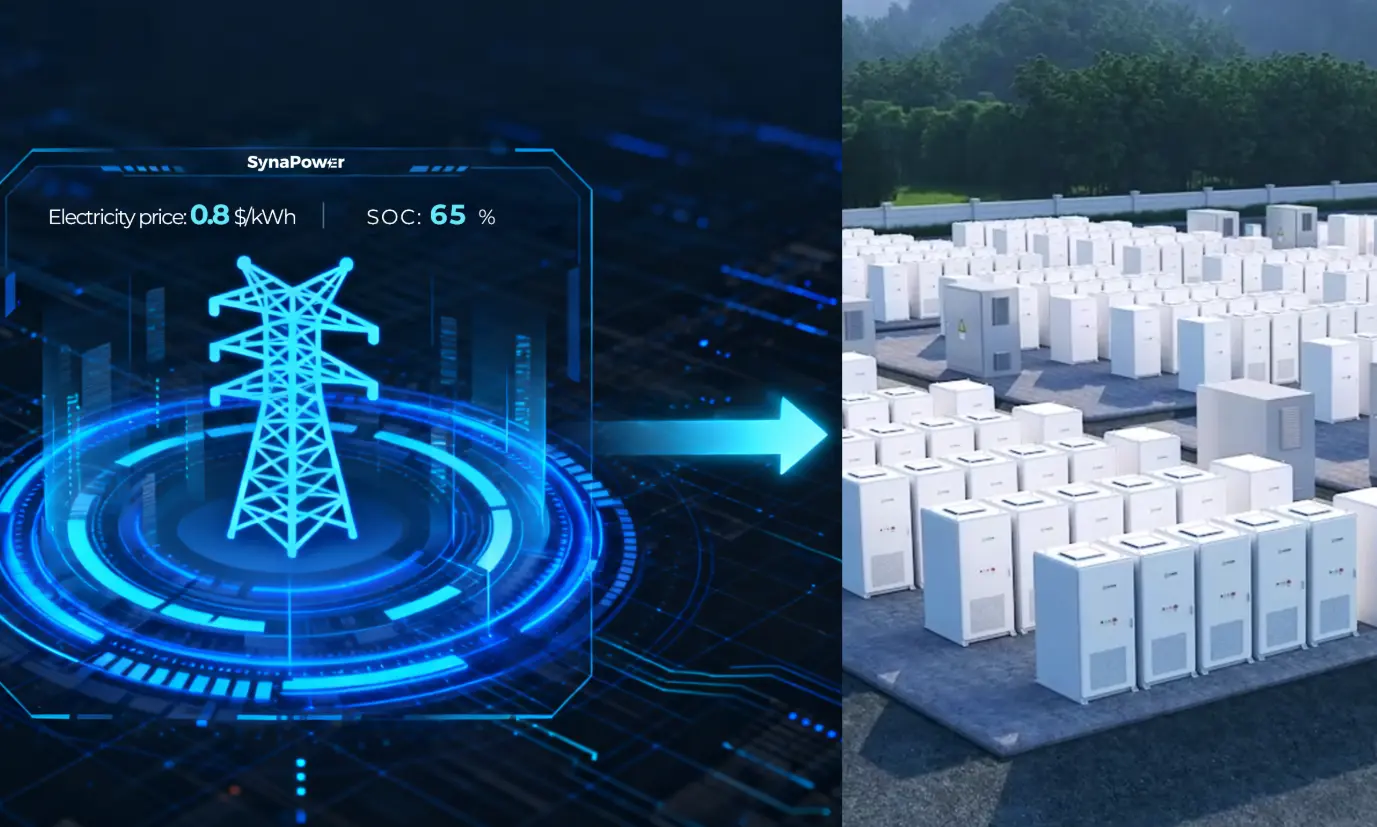 Smart Grids and Energy Storage Systems